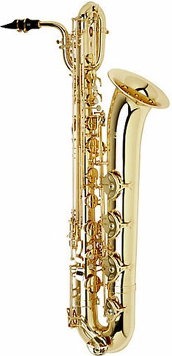 good saxophone on rent gujarat