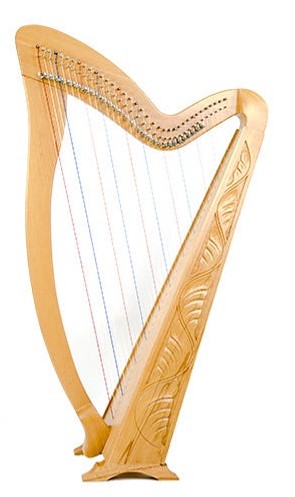 best harp on rent gujarat