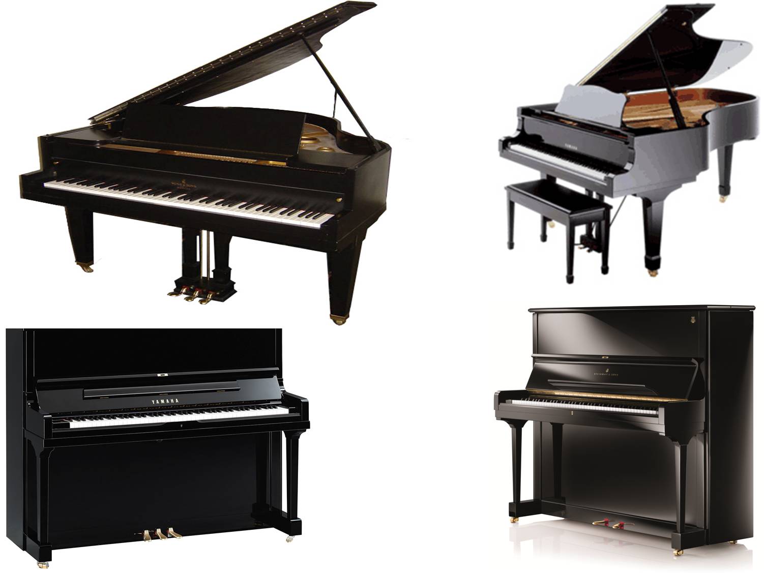 best piano on rent gujarat